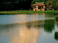 -江心屿景区