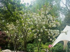 -洛阳市隋唐城遗址植物园