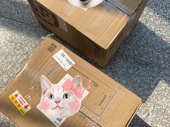 -日上免税店