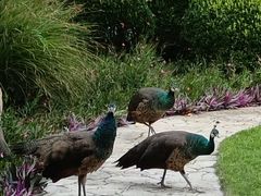 -金庭庄园酒店-停车场