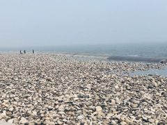 -天津东疆湾沙滩景区