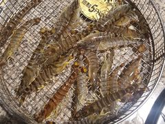 -海味当家·蒸锅海鲜(星海公园店)