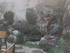-美味之家·湖景农家乐(太湖东山店)