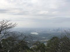 -水濂山森林公园