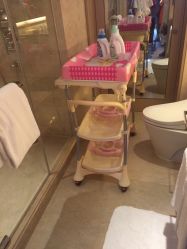 -巍阁高端月子会所