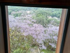 -张坝桂圆林公园