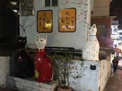 -猫咪博物馆(顶澳仔猫街店)