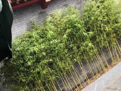 门面-晟永興烤鸭店(五道口店)