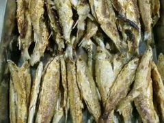 -八仔大富楼·河鲜(西江店)