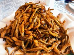 鲜茶树菇炒肉丝-马凯餐厅(地安门店)