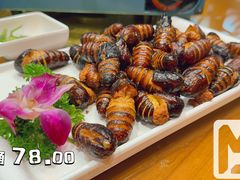 -前堡羊汤岫岩一部(凯隆店)