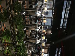 -梧桐阳光国际游泳健身会所(亚运村店)
