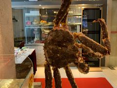 -万龙洲海鲜(大兴绿地缤纷城店)