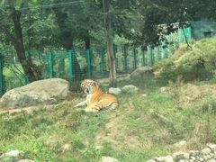 -西安秦岭野生动物园