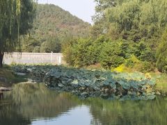 -北坞公园