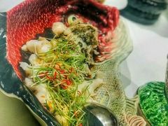 -西郊5号·Maggie 5