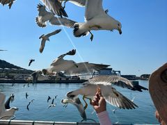 -海驴岛(荣成市)