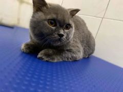 -沐沐家宠物(成寿寺店)