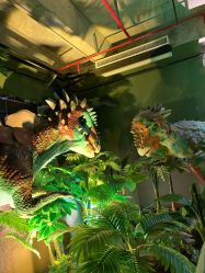 -恐龙探索乐园(磁器口店)