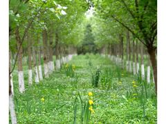 -白鹭湾湿地公园