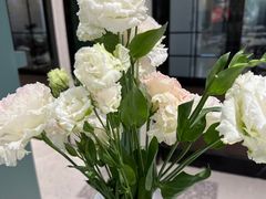 -南堂馆·新川菜(春熙路店)