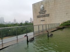 -行者书屋大堂吧 ·下午茶(南京圣和府邸酒店)