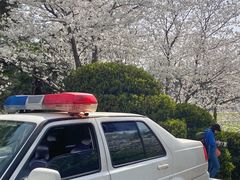 -武汉大学-樱园
