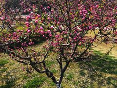 -白塘生态植物园