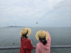 -悦海公园