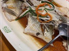 -丹江渔村(望京店)