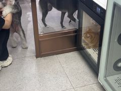 -FAELING PETS美天灵宠物(富力广场店)