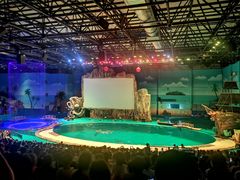 -华夏文旅海洋公园