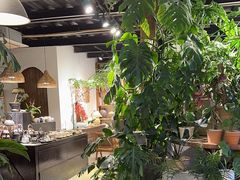 -自由生长植物工作室(深港花卉中心店)
