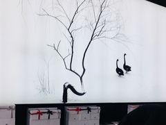 -BLACKSWAN黑天鹅(环球店)