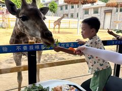 -西霞口神雕山野生动物世界