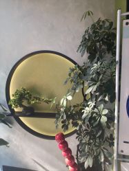 -北京豆豆博士专业祛痘