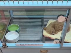 -FAELING PETS美天灵宠物(合生汇店)