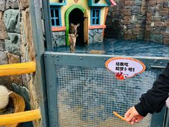 -欢乐水魔方水世界