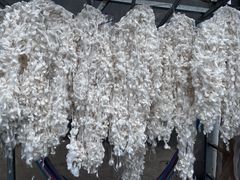 -明月山天沐温泉度假村