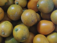 -瑶王府·广西菜(金阳路店)