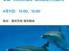 -深圳野生动物园
