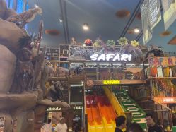 -卡通尼·Safari非洲探索乐园·生日会(金桥国际商业广场店)