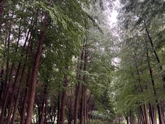 -云龙湖旅游景区