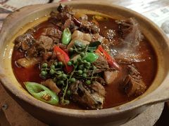 花椒肥肠鸡煲-十六蒲(桂林路店)