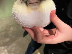 -永安鱼庄·镇江菜(东吴路店)