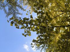 -辽宁大学(崇山校区)