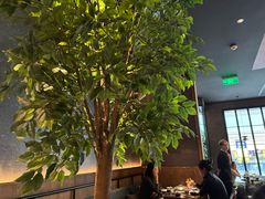 -同仁四季椰子鸡(无锡滨湖万象汇店)