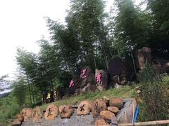 -千泷沟大瀑布旅游区