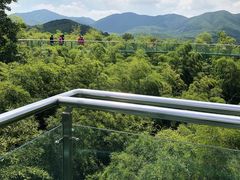 -陶祖圣境风景区