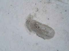 -太子岭滑雪场